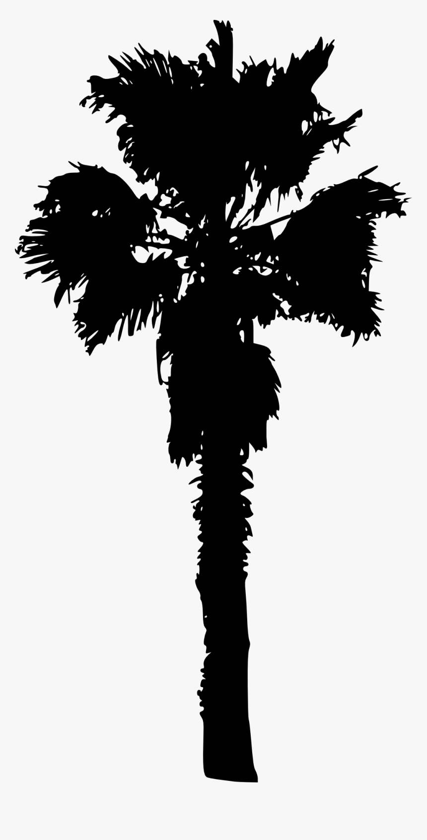 Palm Tree - Palm Trees, HD Png Download, Free Download