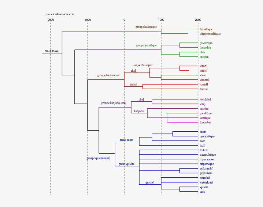 Tree Of Maya Languages - Tree Model Of Language, HD Png Download, Free Download