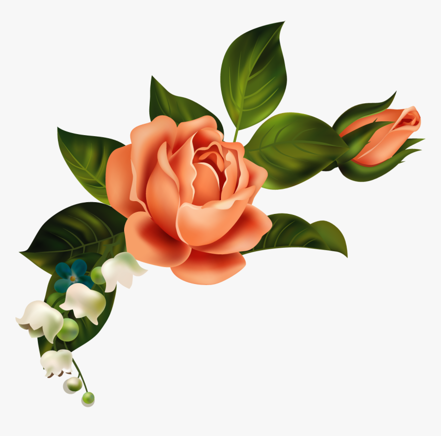 Ru E Category Svet - Shawn Mendes Flowers Png, Transparent Png, Free Download