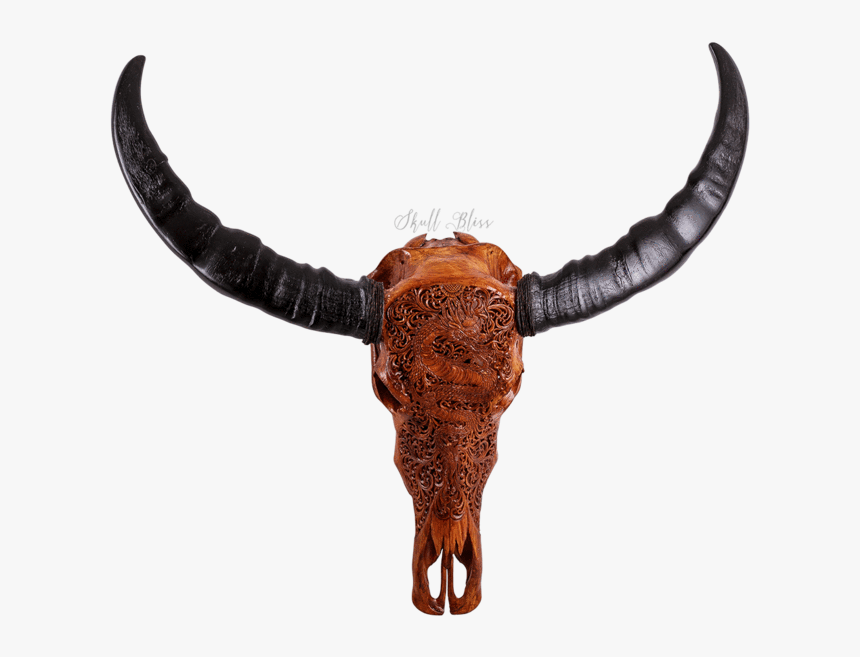 Carved Buffalo Skull - Water Buffalo, HD Png Download, Free Download
