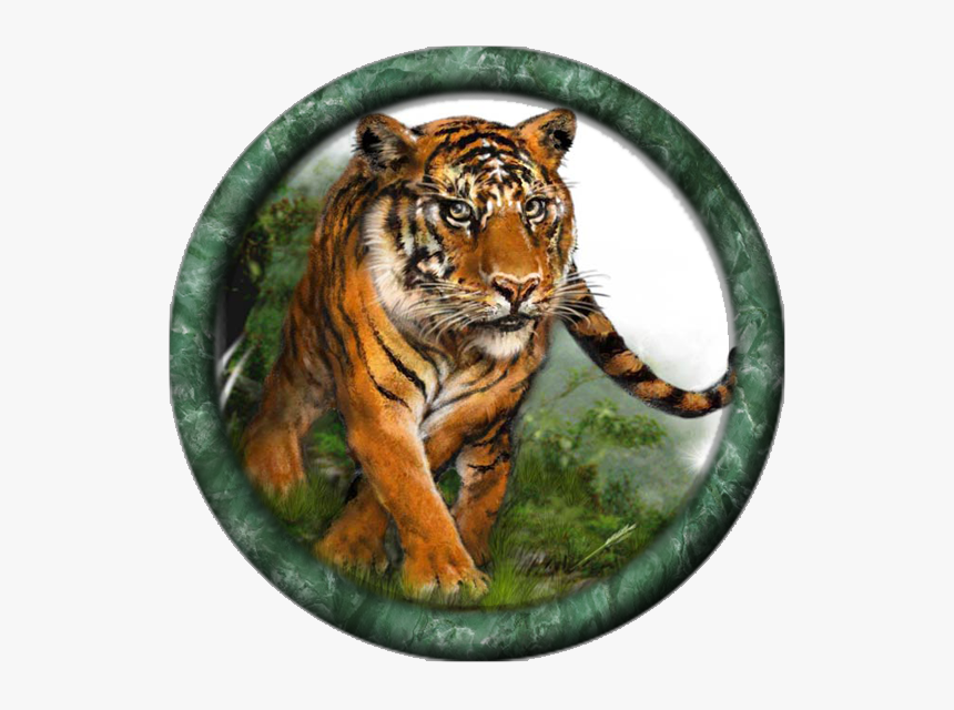 Siberian Tiger, HD Png Download, Free Download