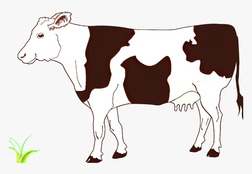 Clip Art Vector Graphics Ayrshire Cattle Drawing Beef - Clipart Cow, HD Png Download, Free Download