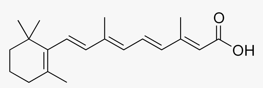 Retinoic Acid - 3 Chloro L Tyrosine, HD Png Download, Free Download
