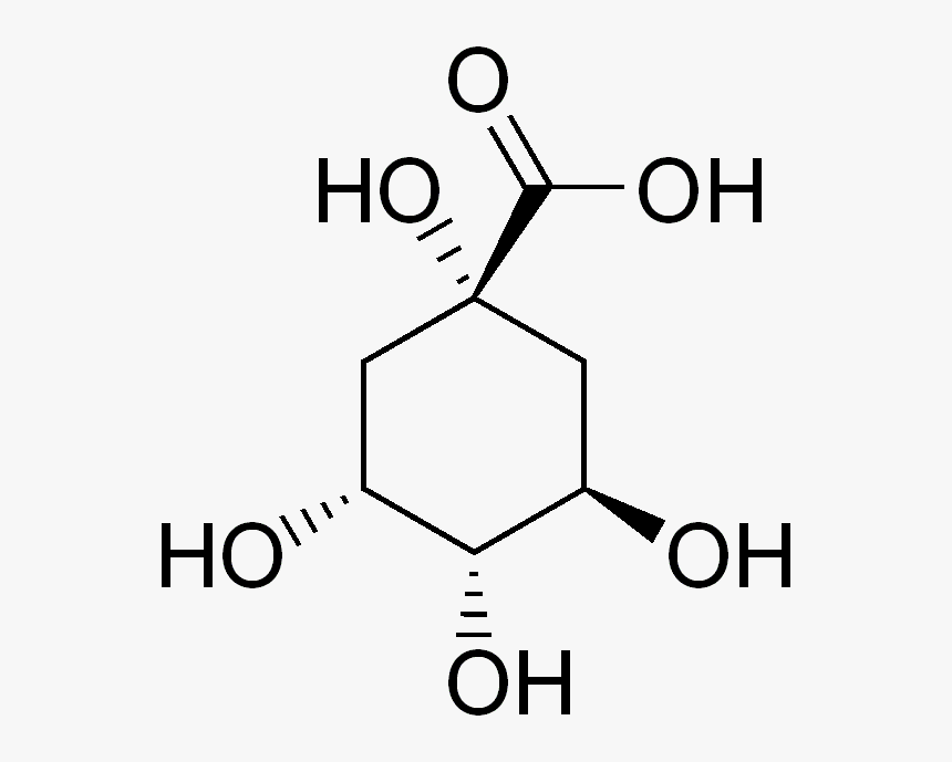 Quinic Acid, HD Png Download, Free Download