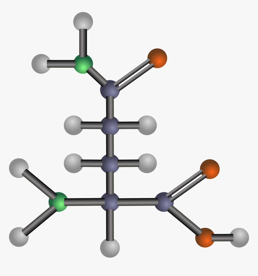 Glutamine Clip Arts - Amino Acid Png, Transparent Png, Free Download