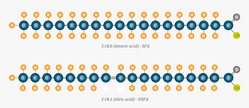 Sfa And Usfa - Saturated And Unsaturated Fatty Acids, HD Png Download, Free Download