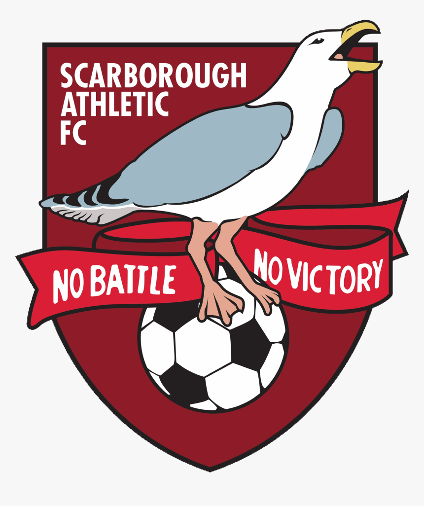 Club Friendly Games Table Top - Scarborough Athletic Fc Logo, HD Png Download, Free Download