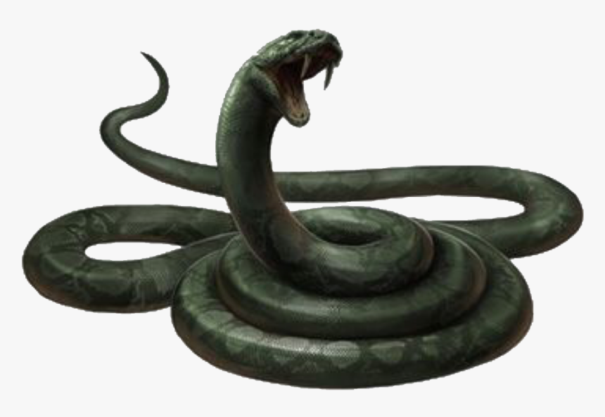 Harry Potter Snake Png, Transparent Png, Free Download