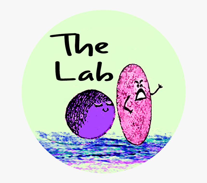 The Lab Web Button 4d3287f2 F2e1 4fd7 Bce3 8e9bd615c70b - Circle, HD Png Download, Free Download