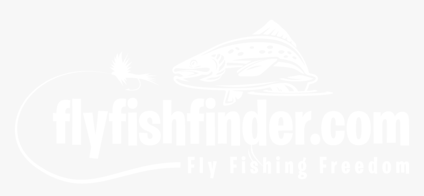 Trout, HD Png Download, Free Download