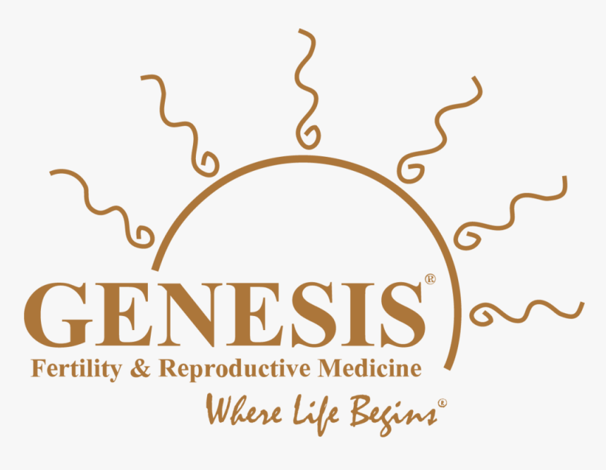 About Us Garden Acupuncture, HD Png Download, Free Download