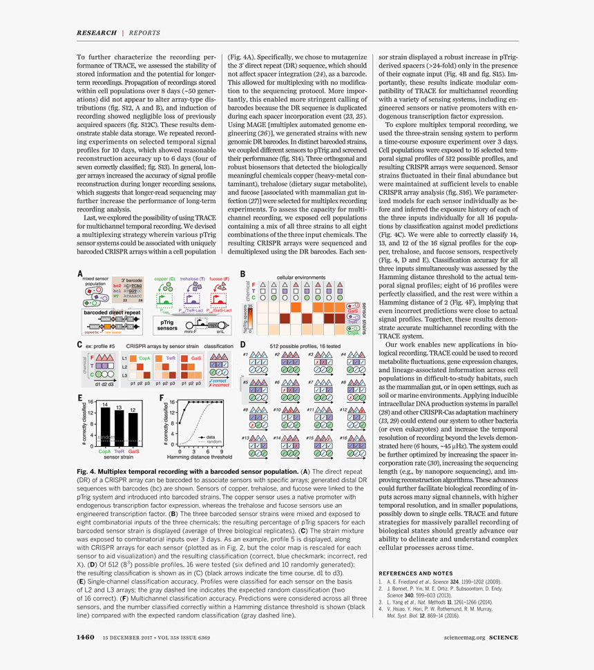 Magazine Barcode Png , Png Download - Folio Seventeen From Burchard Of Sion's De Locis Ac, Transparent Png, Free Download