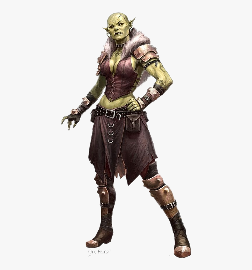 Transparent Orc Png - Female Half Orc Barbarian, Png Download, Free Download