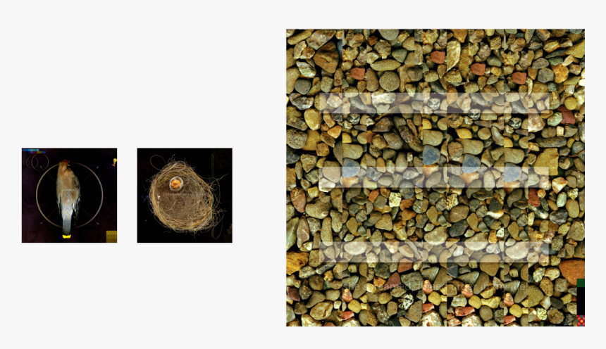 Stone Wall, Hd Png Download - Stone Wall, Transparent Png, Free Download