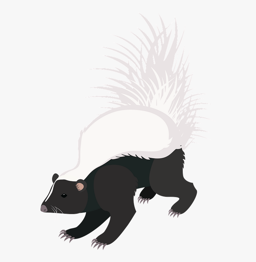 Hooded Skunk Clipart - Illustration, HD Png Download, Free Download