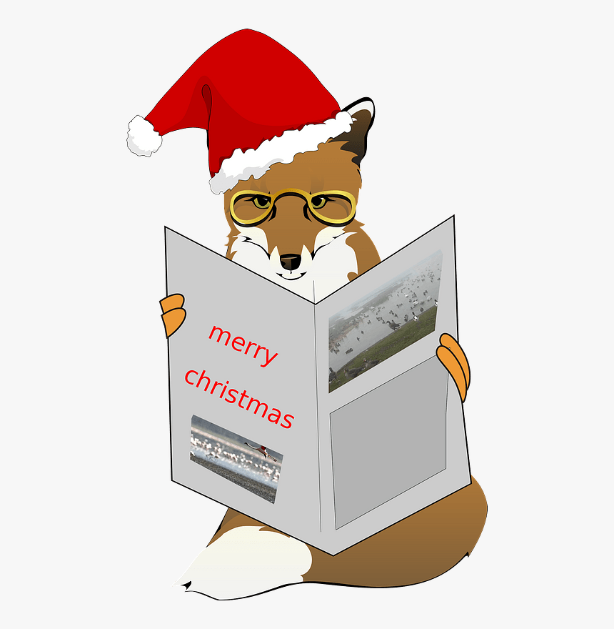 Christmas Fox Clipart - Fox With Christmas Hat Png, Transparent Png, Free Download