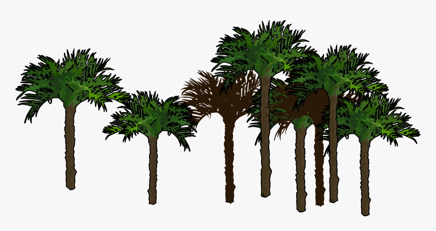 Palmeras Png Sin Fondo , Png Download - Palmera Png Sin Fondo, Transparent Png, Free Download