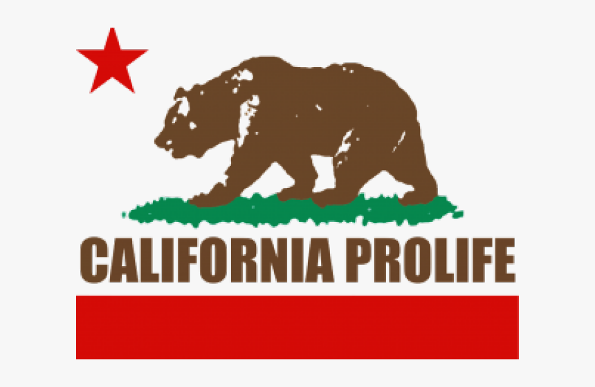 California Flag Clipart Png - California Prolife Council, Transparent Png, Free Download