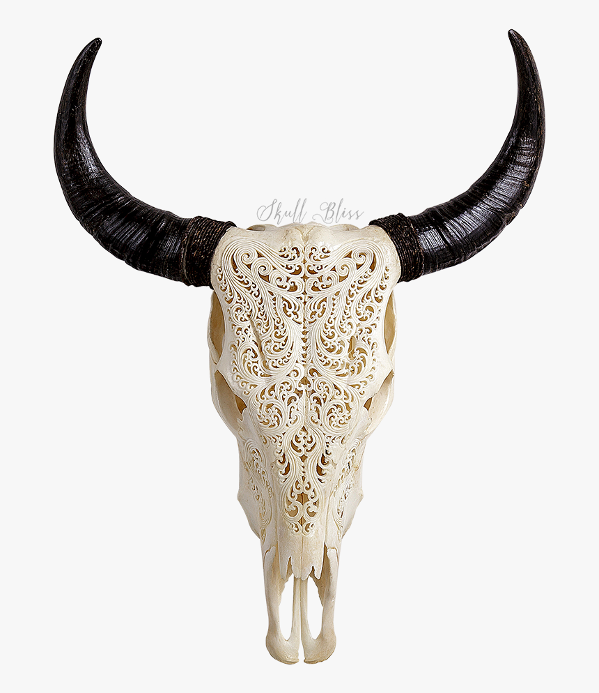 Thumb Image - Bull Skull Png, Transparent Png, Free Download