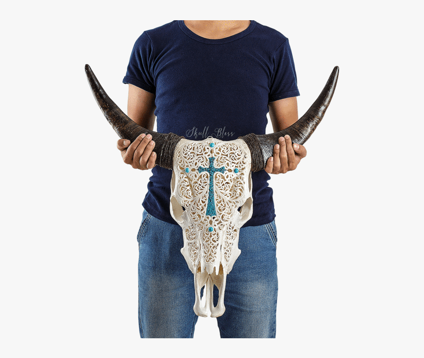 Carved Cow Skull // Xl Horns - Skull, HD Png Download, Free Download