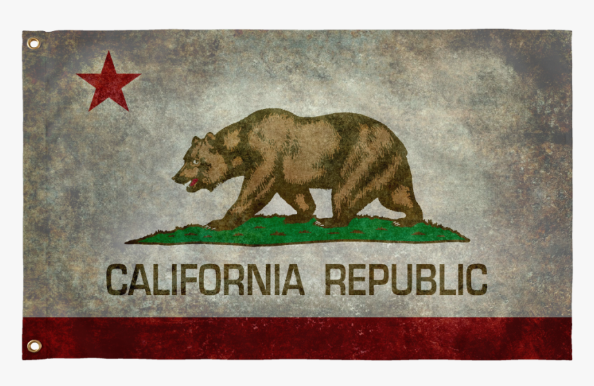 5 California State Symbols, HD Png Download, Free Download