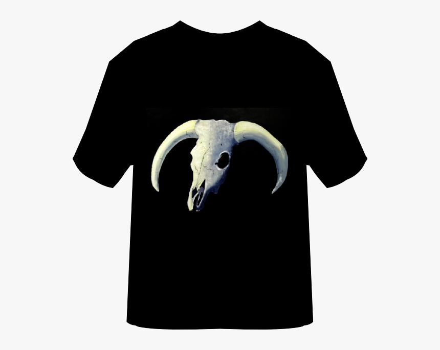 Transparent Goat Skull Png - Horn, Png Download, Free Download