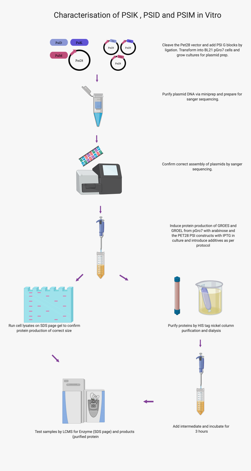 Diagram, HD Png Download, Free Download