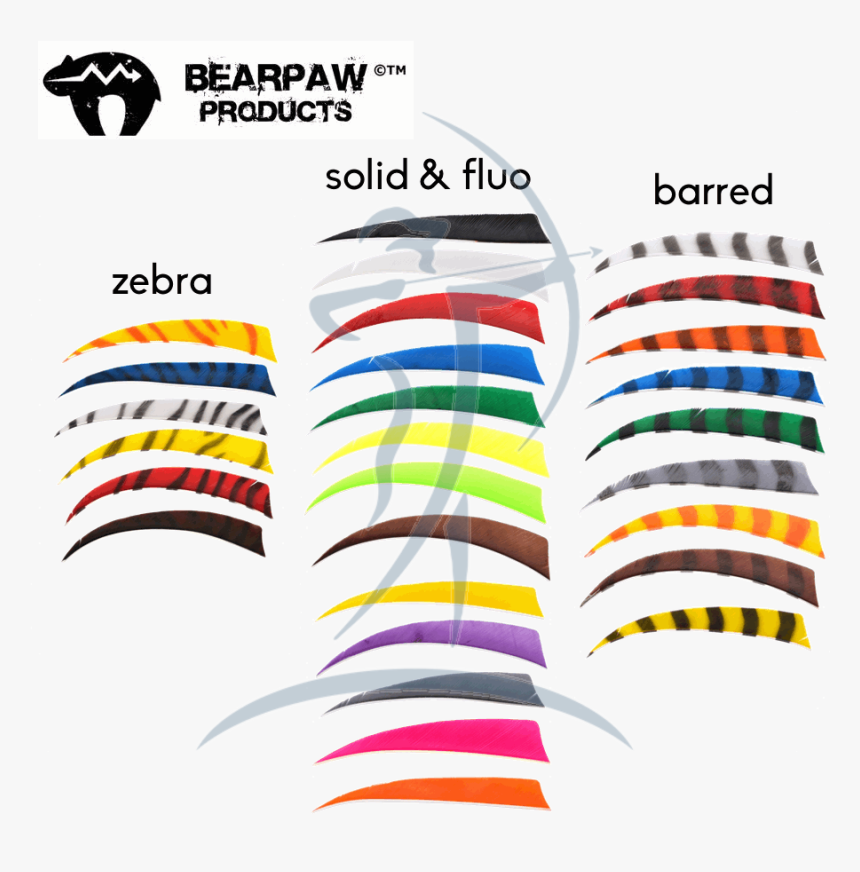 Bearpaw Feathers - Bearpaw, HD Png Download, Free Download