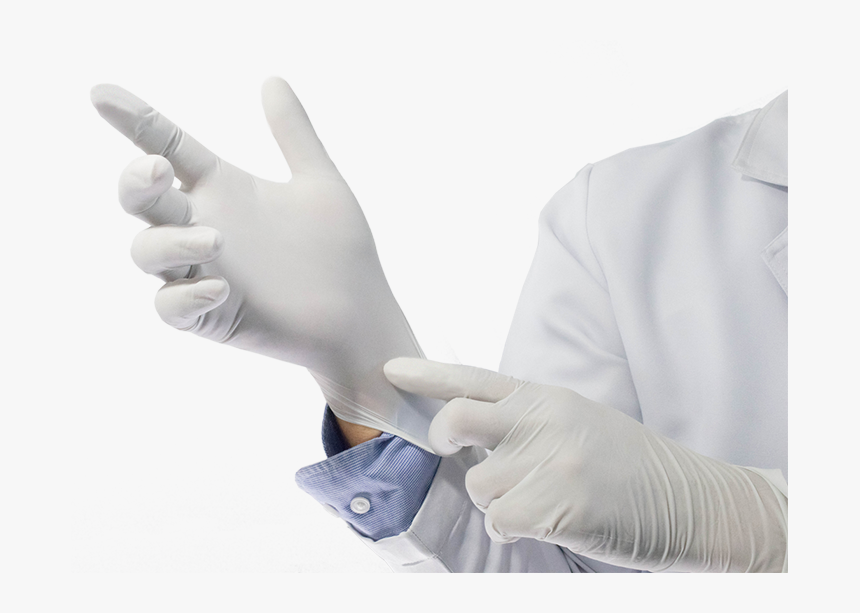 Phoenix Rubber Glove, HD Png Download, Free Download