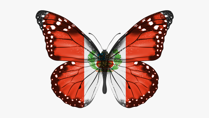 Monarch Butterfly Aesthetic, HD Png Download, Free Download