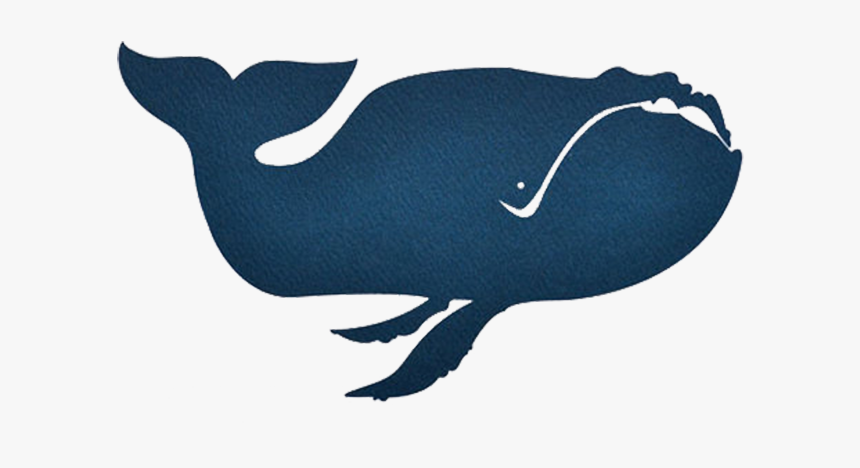 Baleen Whale Porpoise Blue Whale Illustration - Whales, HD Png Download, Free Download