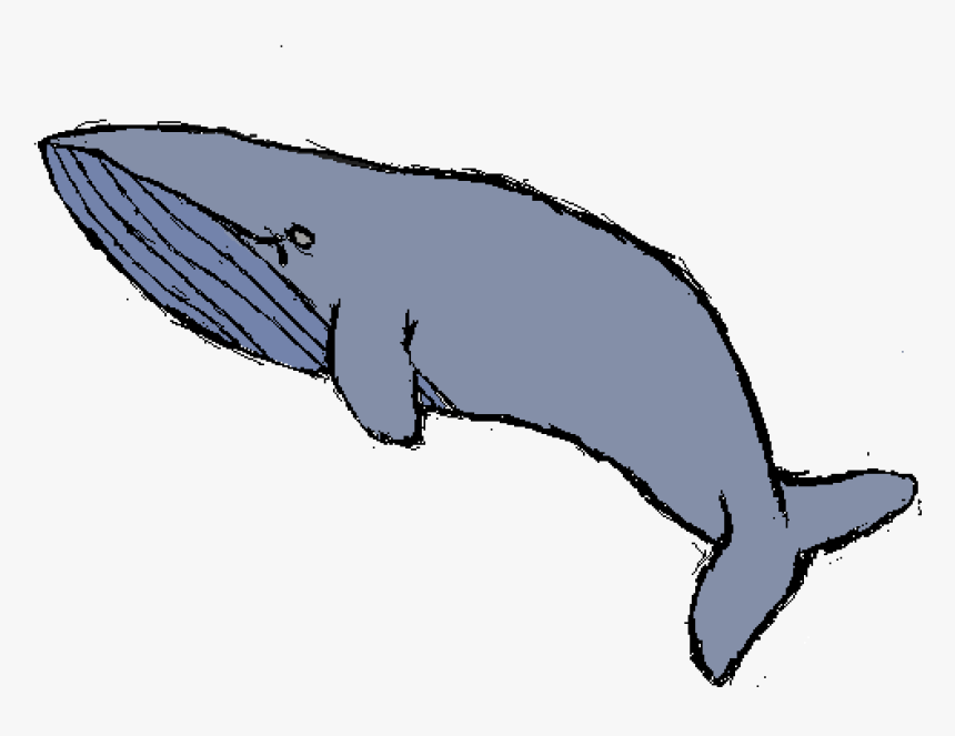 Humpback Whale, HD Png Download, Free Download