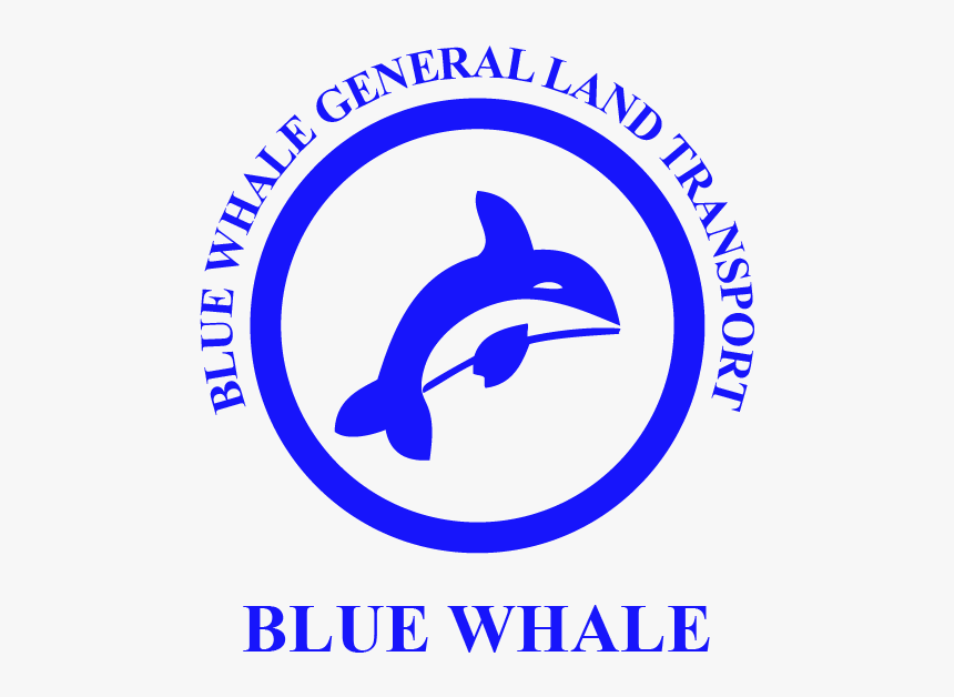 Common Bottlenose Dolphin, HD Png Download, Free Download