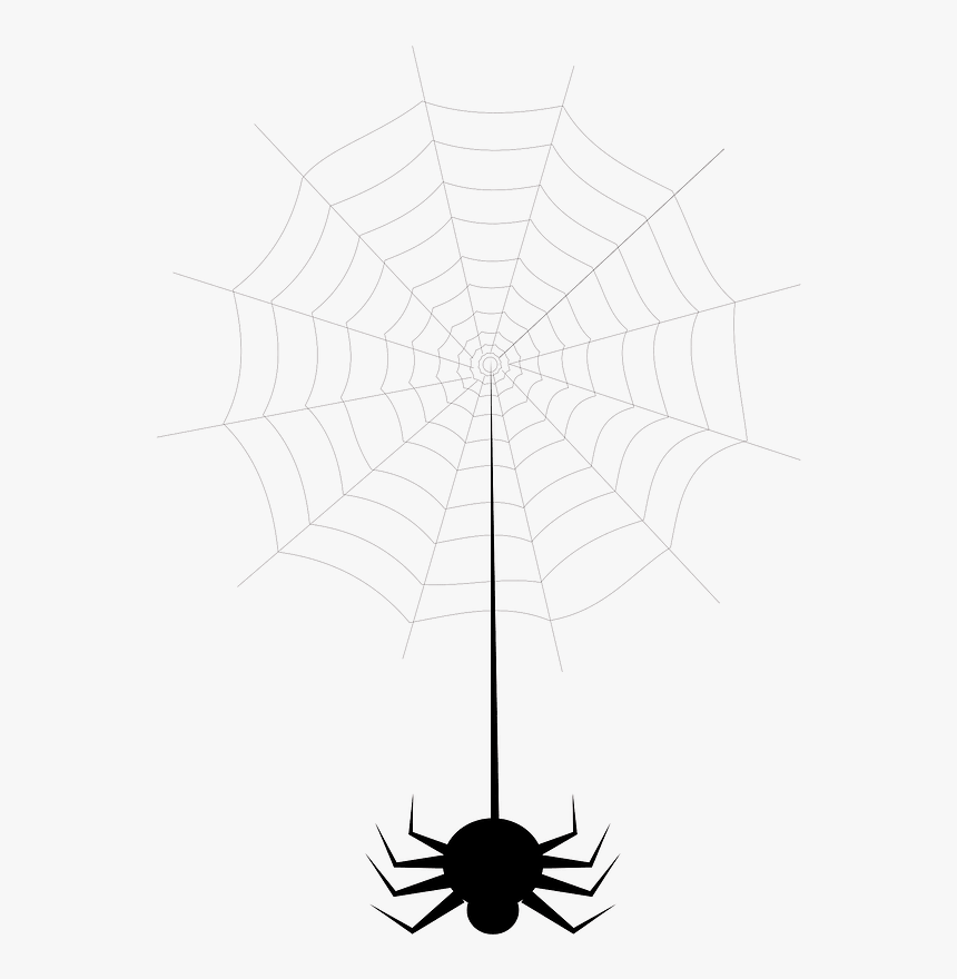 Spider Web Clipart - Spider Web, HD Png Download, Free Download