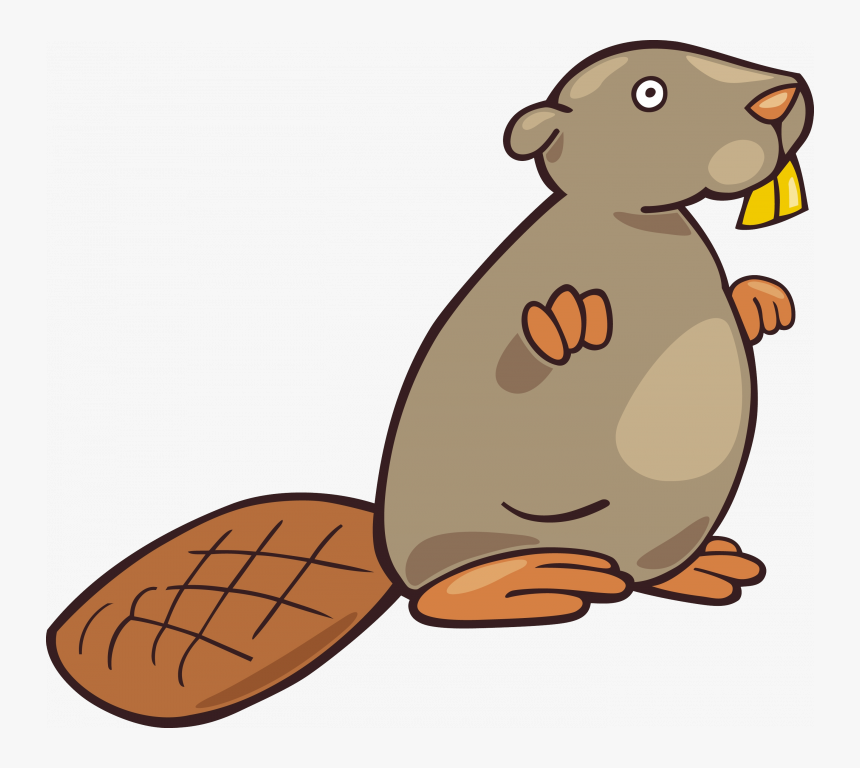 Download And Use Beaver Transparent Png File - Бобёр Клип Арт, Png Download, Free Download