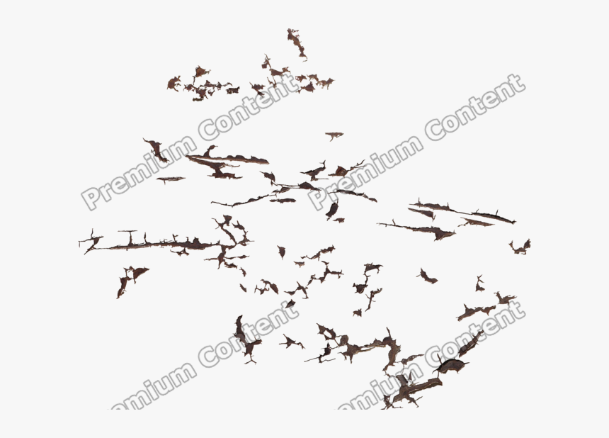 High Resolution Decal Cracked Texture - Fighter Aircraft, HD Png Download, Free Download