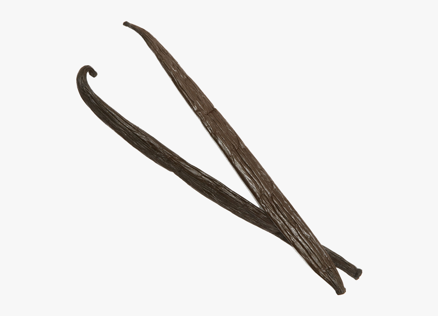 Vanilla Bean Png Pic - Vanilla Bean Png, Transparent Png, Free Download