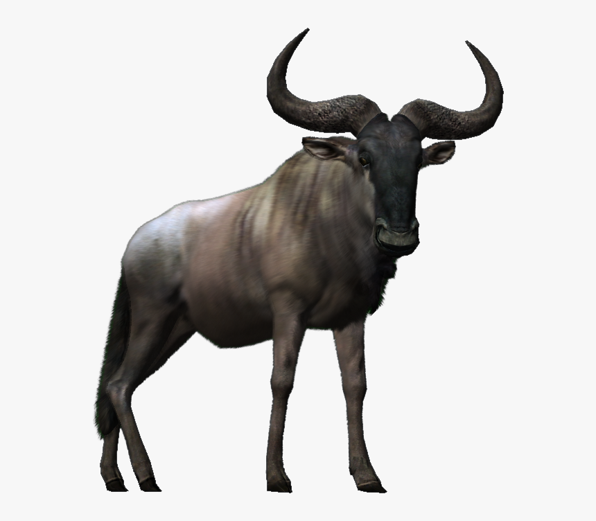 Big Buck Png - Big Buck Hd Wildebeest, Transparent Png, Free Download