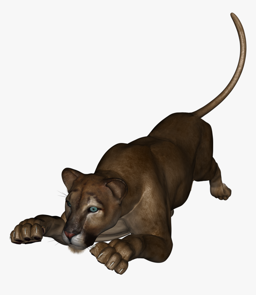 This Is The Lioness From Daz Studio - Companion Dog, HD Png Download, Free Download