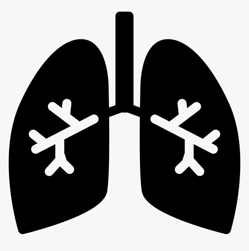 Picture Download Lungs With Svg Png Icon Free Download - Lung Icon Free, Transparent Png, Free Download