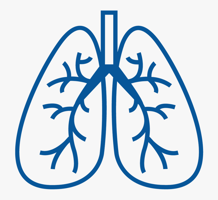 Lungs Clipart Copd, Lungs Copd Transparent Free For - Copd Clipart, HD Png ...
