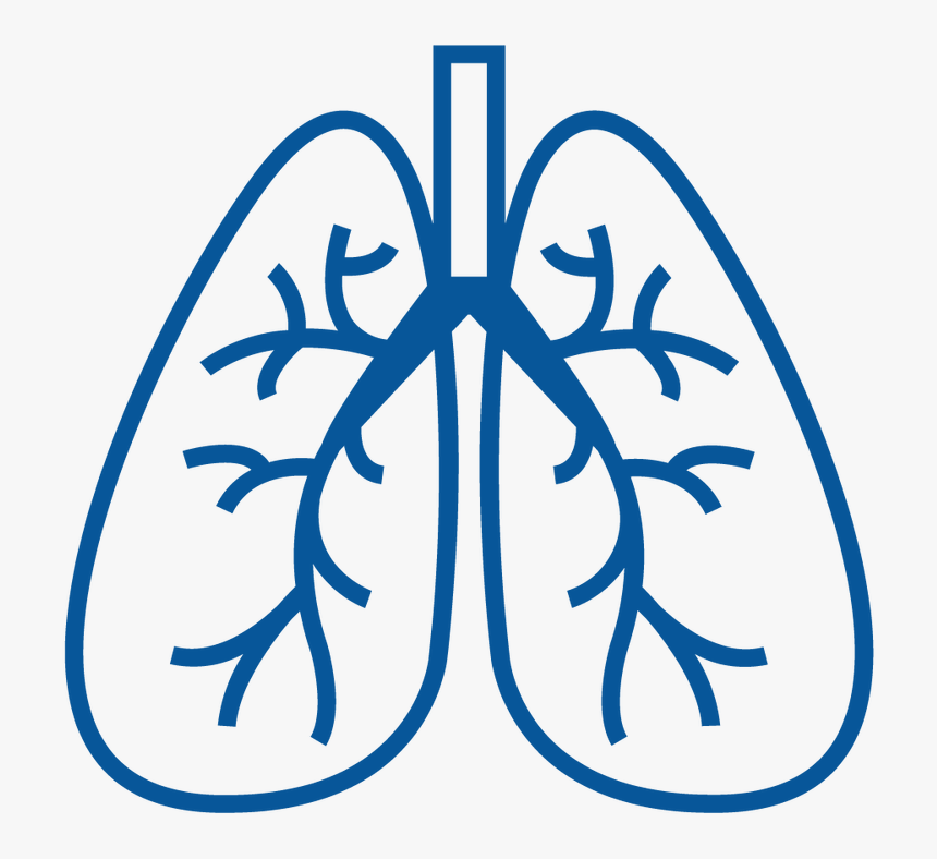 Lungs Clipart Copd, Lungs Copd Transparent Free For - Copd Clipart, HD Png Download, Free Download