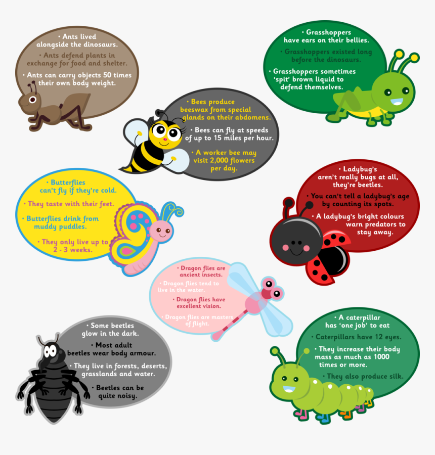Bugs - Kennedy Space Center, HD Png Download, Free Download