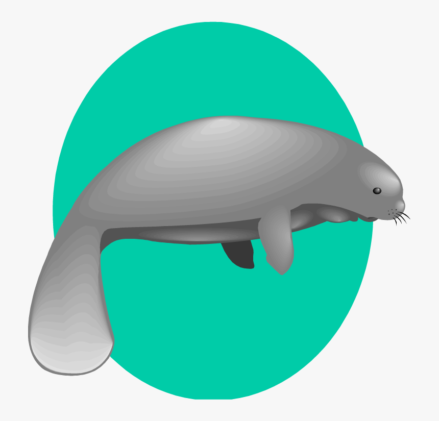 Free Manatee Clipart - Fancy Sea Cow Png, Transparent Png, Free Download