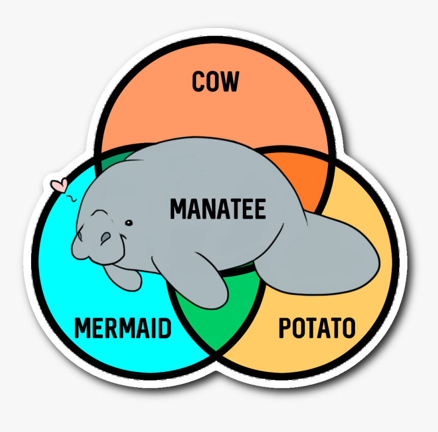 What Even Are Manatees Sticker - Manatee Cow Mermaid Potato, HD Png Download, Free Download