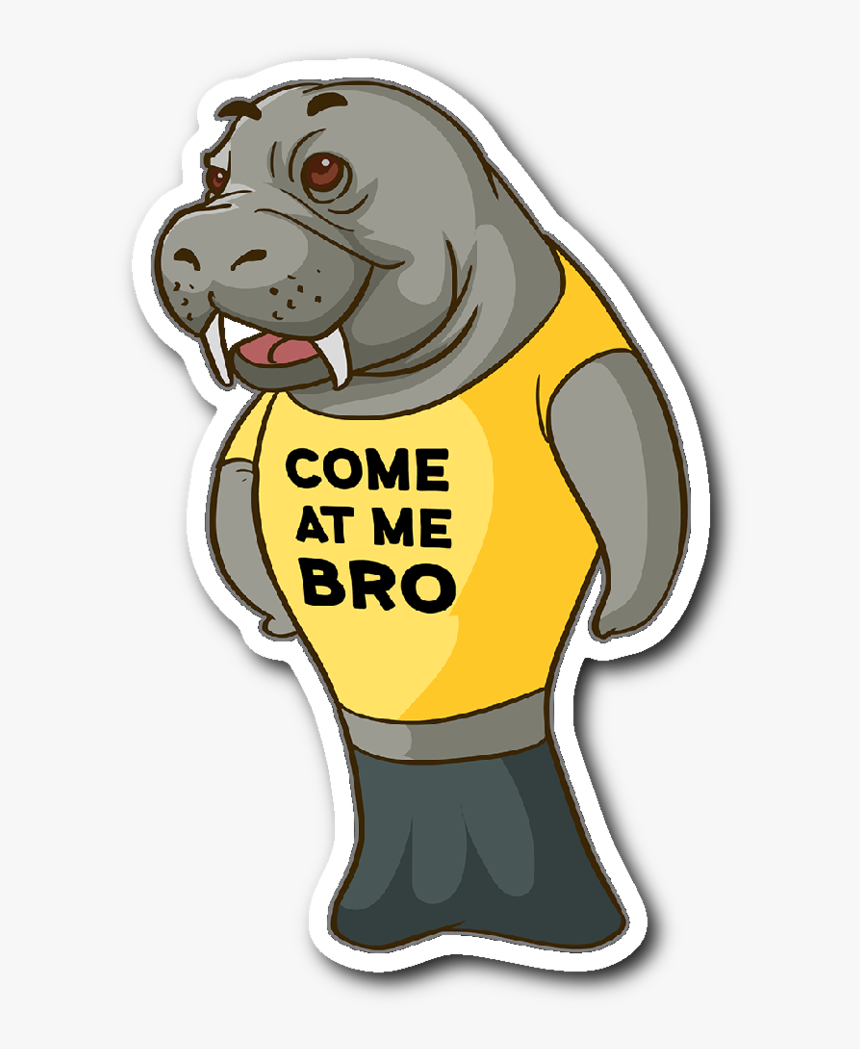 Manatee Come At Me Bro Commercial Novelty Sticker Car - Cartoon, HD Png Download, Free Download