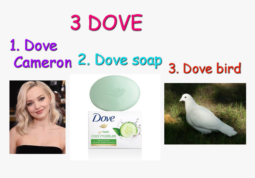 Dove, HD Png Download, Free Download