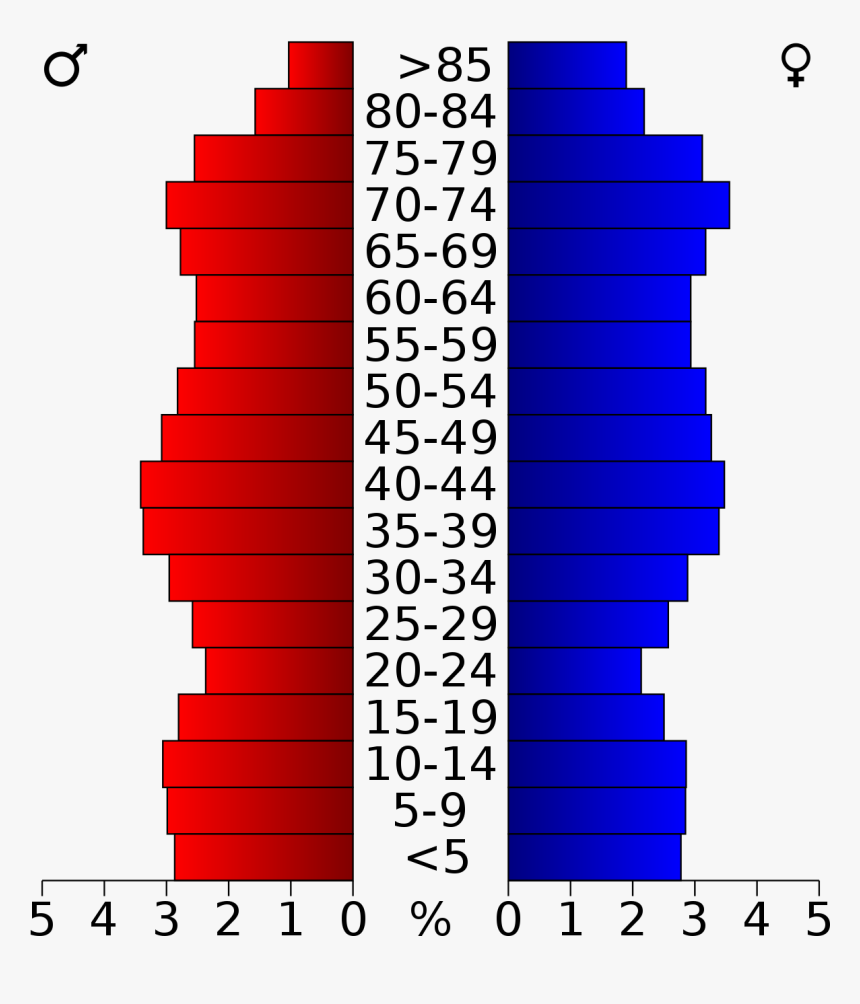 Honolulu Hawaii Population Pyramid, HD Png Download, Free Download