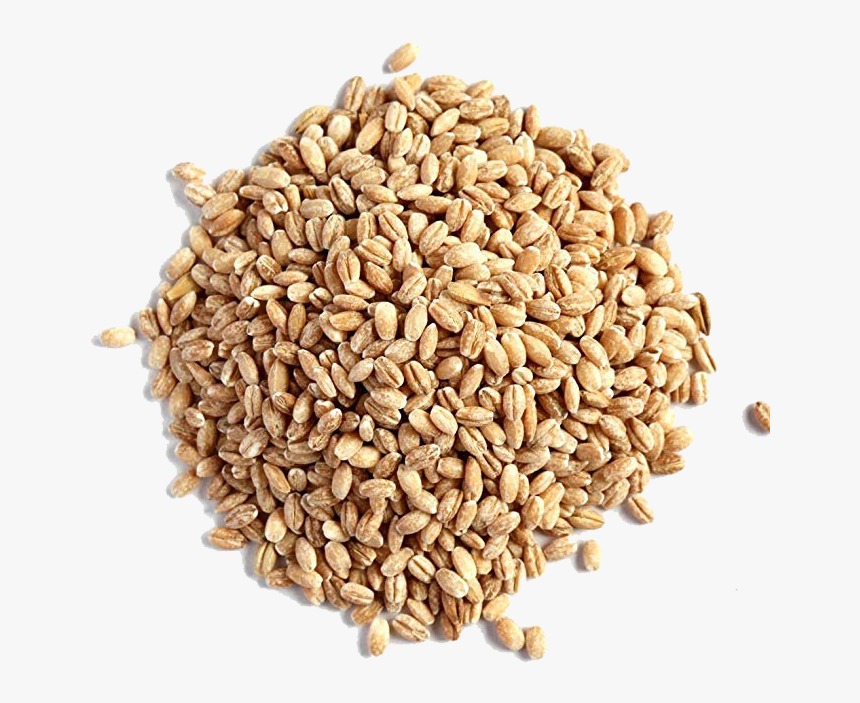 Barley Grain Png Image - Hulled Barley Vs Pearl Barley, Transparent Png, Free Download