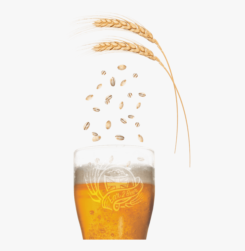 Calling All Malting Barley Growers Free Beer Enter - Lager, HD Png Download, Free Download
